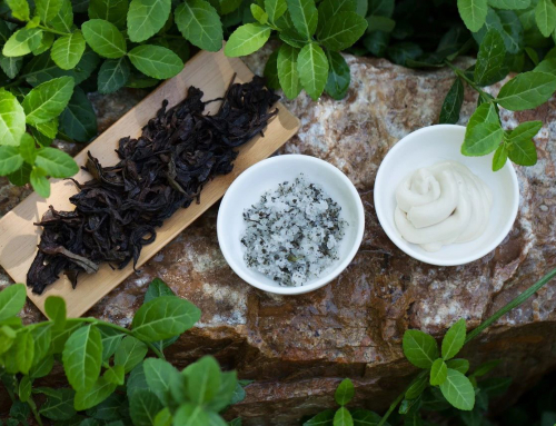 春天，煥發(fā)無限生機(jī) RENEW & REJUVENATE